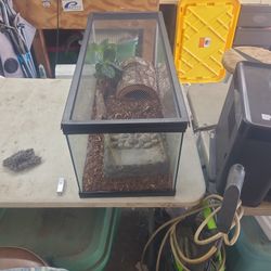 Reptile Enclosure Ready To Go With Everything