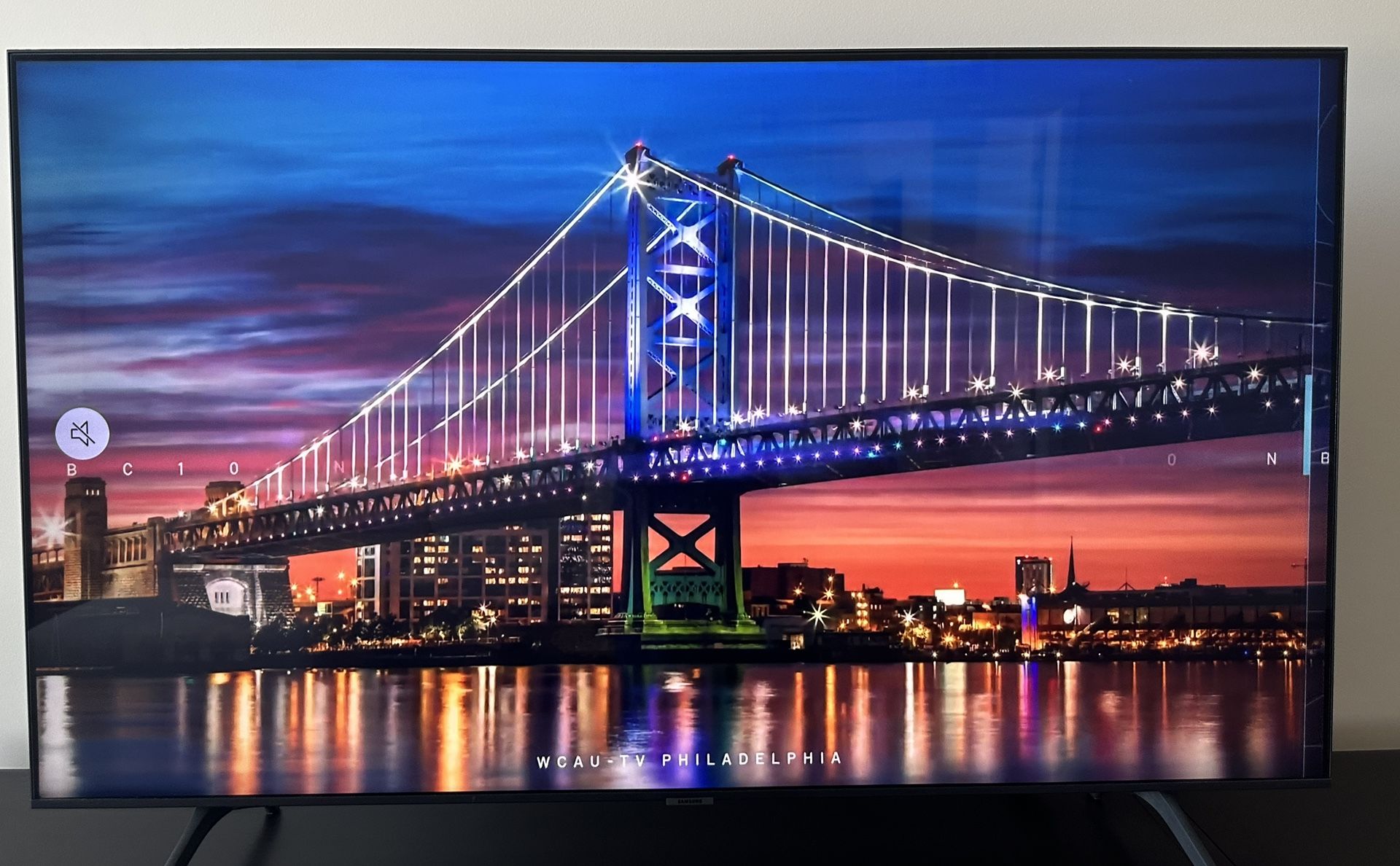 55” Samsung Smart TV + 2 Bookcases