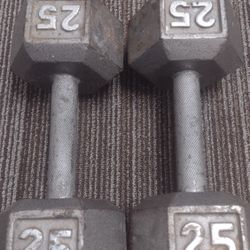 25lb Weights!!!!