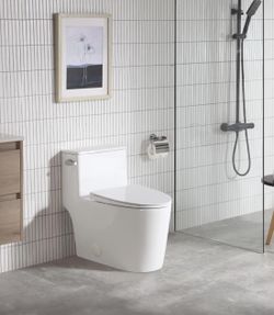 Toilets 