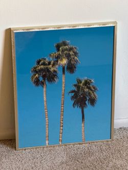 Palm Trees Framed Fine Art Photography Print