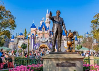 D-Land