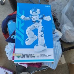 Toy Robot