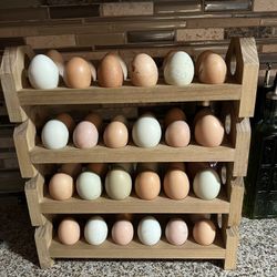 Free Range Organic Eggs
