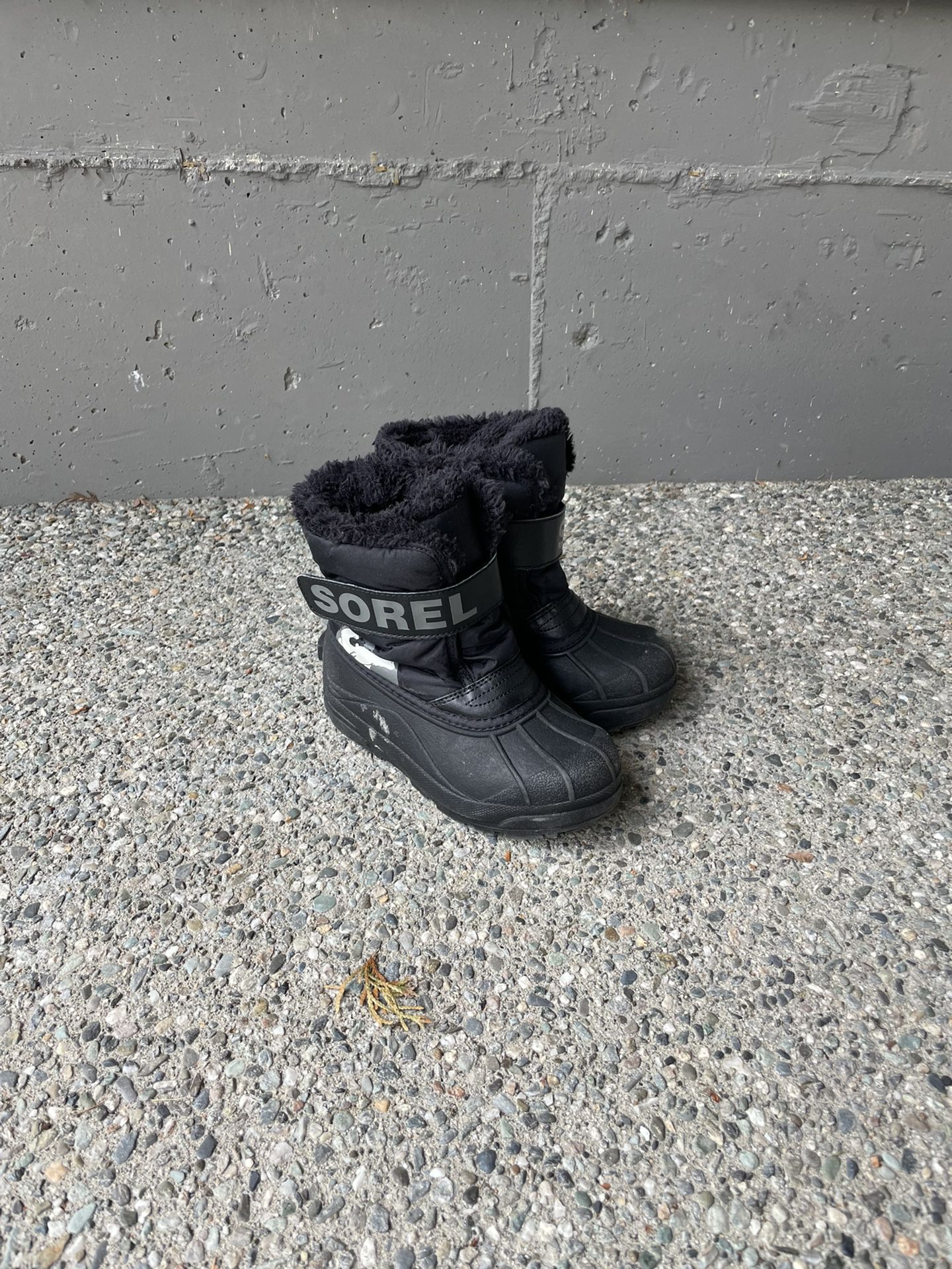 Toddler Sorel Snow Boot Size 13