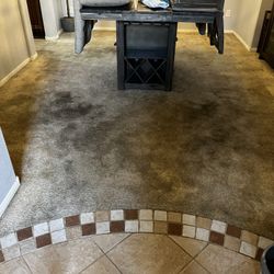 Carpet CleaN ✨Hot Water Extraction  🧼 Steam ♨️