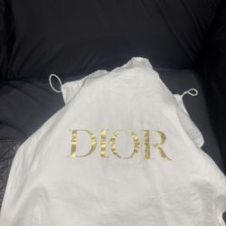 Christian Dior Toujours Bag 
