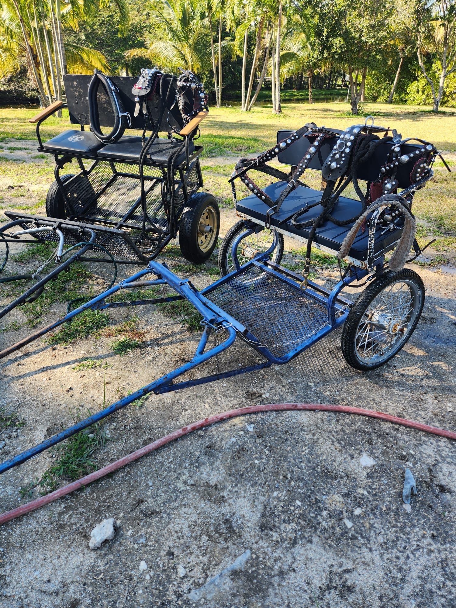 Horse Carriage