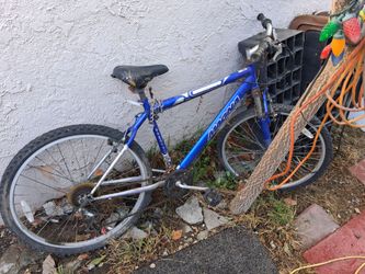 three bikes for thirty five