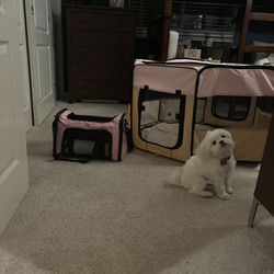 Puppy carrier and playpen 