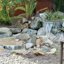 Ponds #pondless