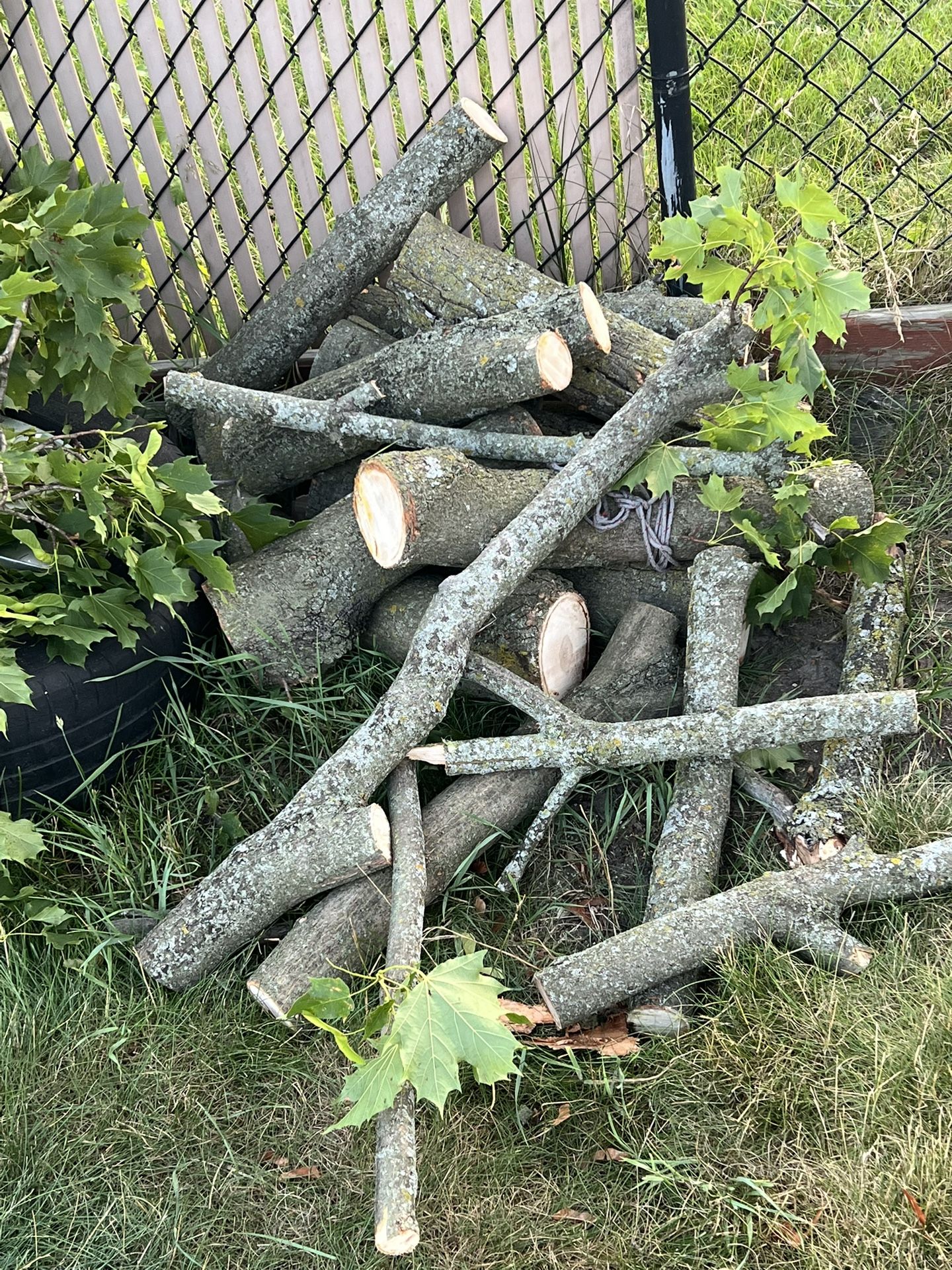 Logs