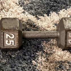 25lb Dumbbell 