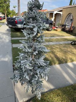 Christmas’s tree