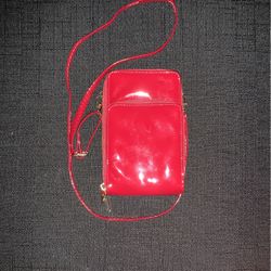 Hand Purse 