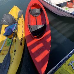 Kayak Rentals Balboa 2 Person  $20.00 An Hour