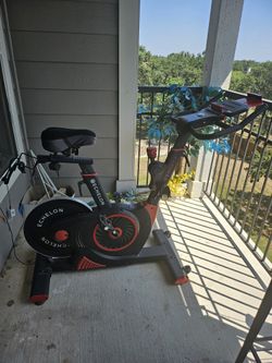 Exercise Bike
