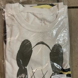 Travis Scott Fragment Kaws