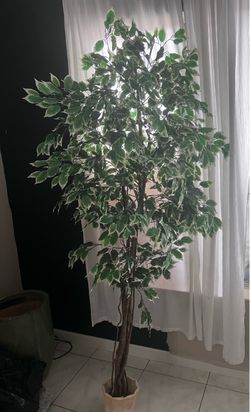 Large Artificial Ficus Tree with Pot