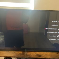 LG Large Screen Monitor TV (HDMI / DisplayPort / Screen Share)