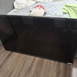 65 Inch TV
