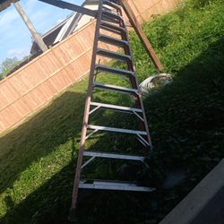 12 Feet Step Ladder  Asking $120