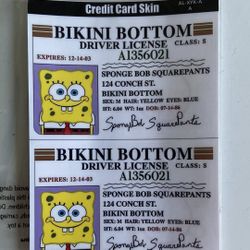Debit Card Skins (1 For Chip Cards And 2nd Is For Cards With Numbers In From)