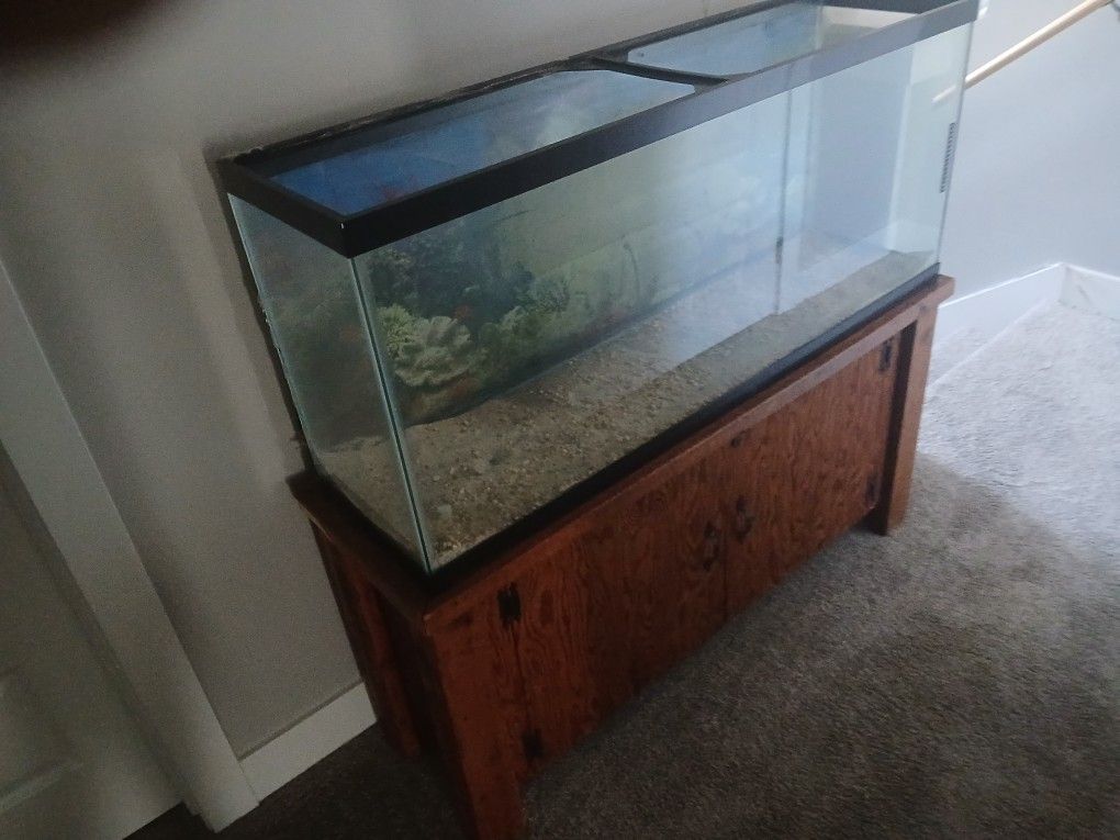 2 80 Gallon AquariumS With STANDS