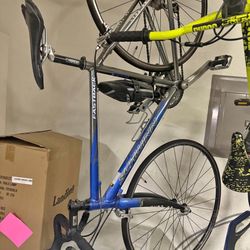 Schwinn Fastback Carbon Bike 