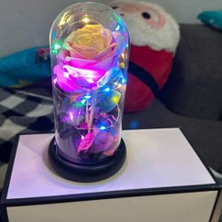 Rose Flower With Lights 