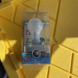 Wonder Bulb