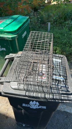 Squirrel trap cage.