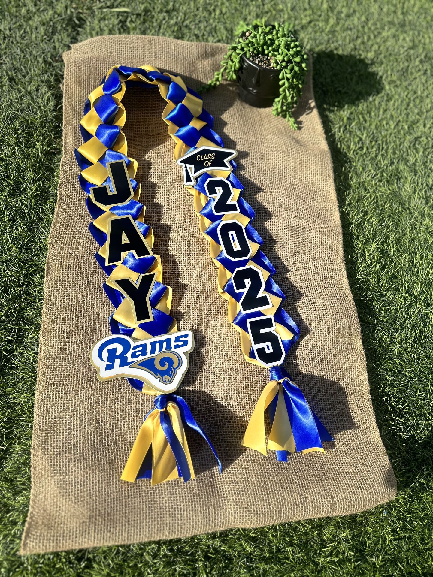 Graduation Leis