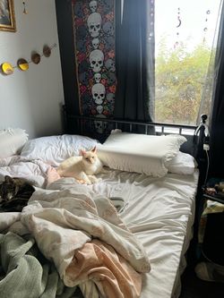Full Size Black Metal  Bed Frame