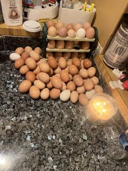 Organic Eggs