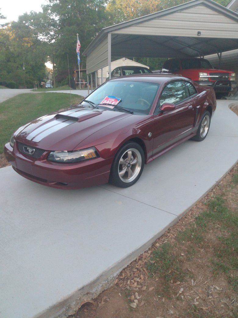 Mustang GT  5.0