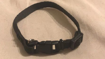 Small Dog Collar