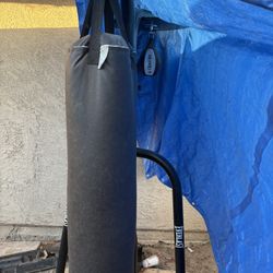 Heavy Bag And Speed Bag Set Up
