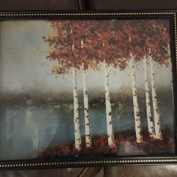 Autumn Birch Trees framed wall art