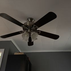 Ceiling Fan 