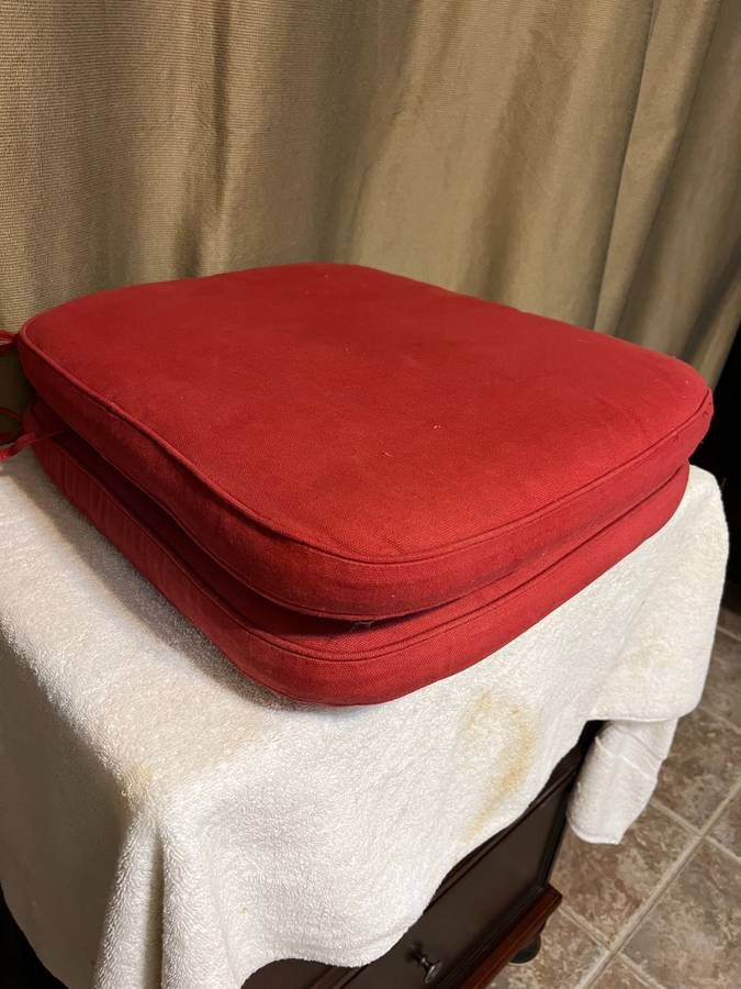 Two Red Seat Cushions