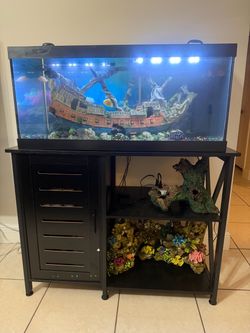 40 gallon tank and stand