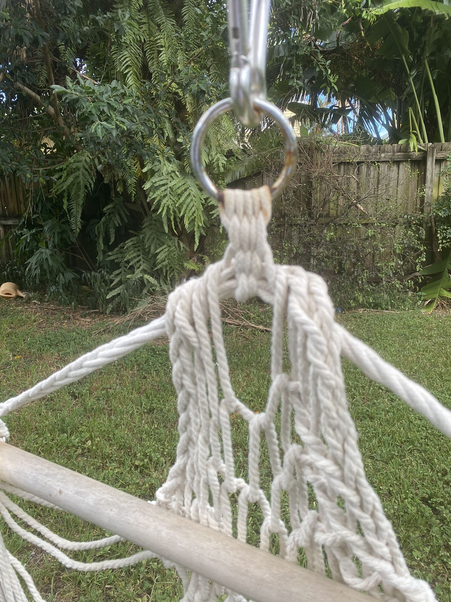 Back Yard Hammock Chair Swing