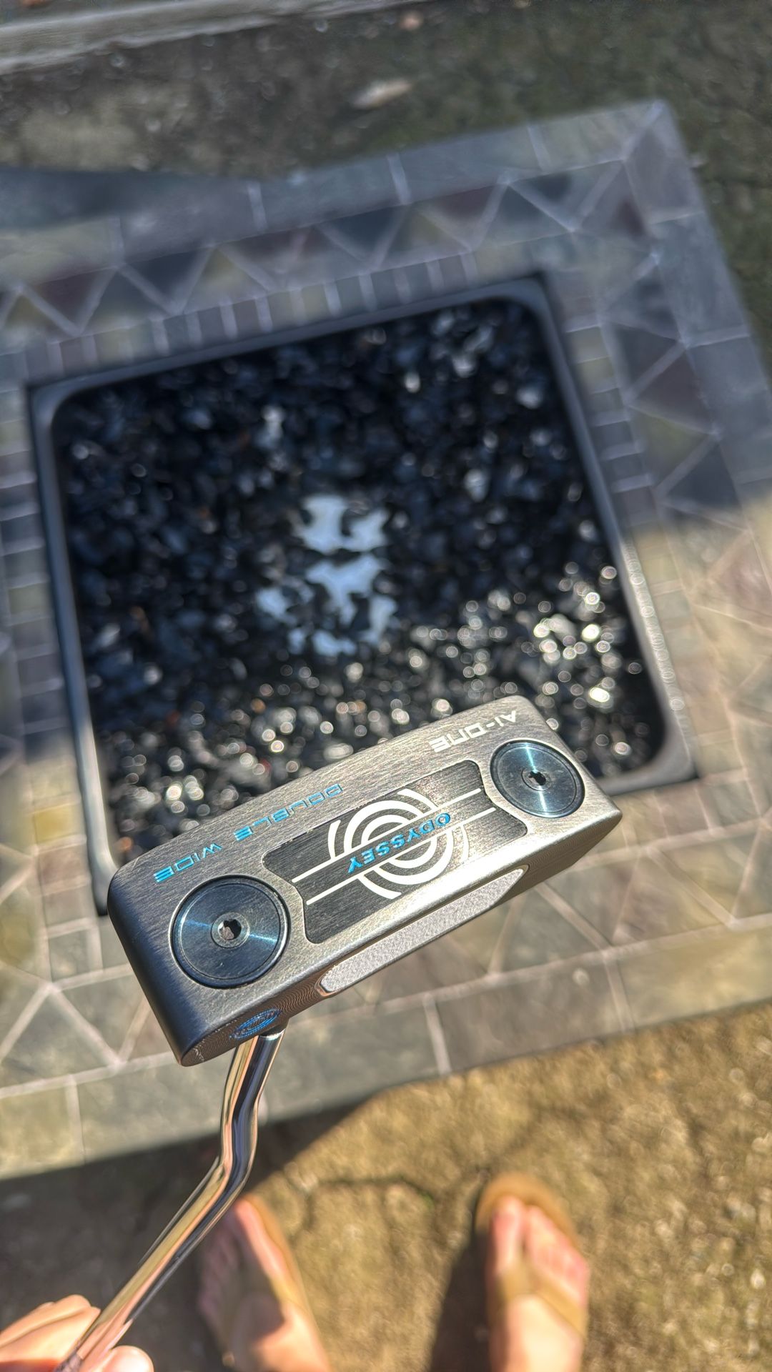 Odyssey Ai-ONE DOUBLE WIDE (would Trade For A Lab)