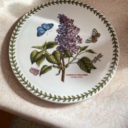 Portmeirion Trivet New Unused