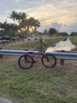 Blackjack D Pro Dirtjumper/wheelie Bike