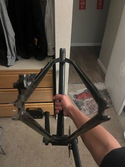 29 inch gear converted bomma frame
