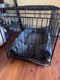 Large dog crate