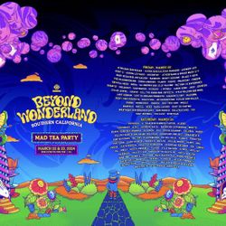 Beyond Wonderland Looking 1 Ticket Friday 