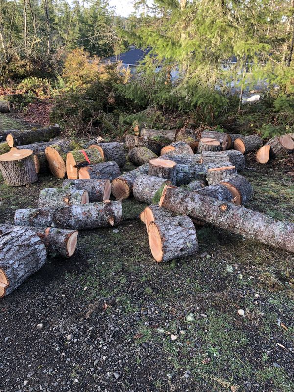 Free firewood 20 cords for Sale in Port Orchard, WA - OfferUp